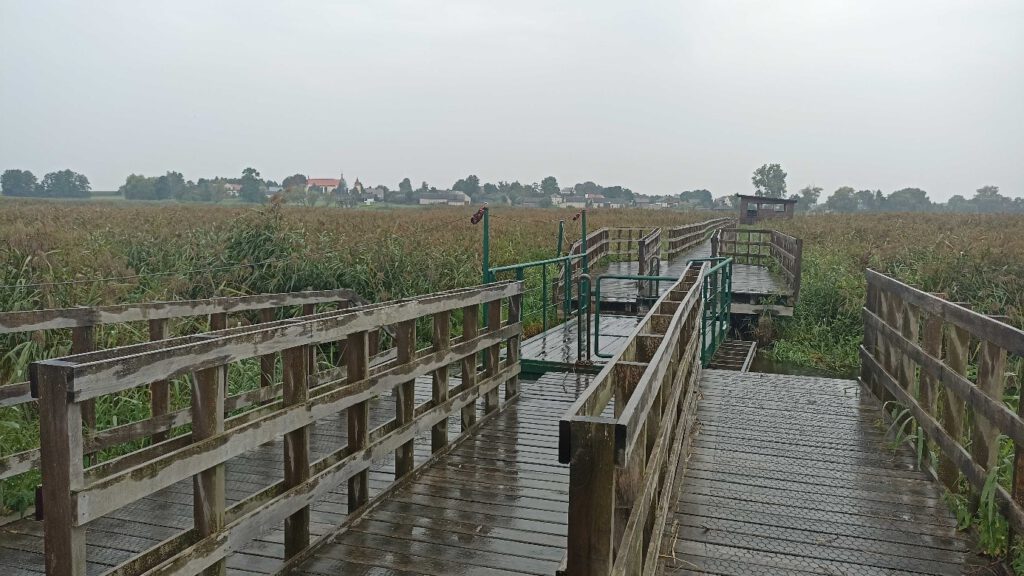 Drewniana przeprawa przez rzekę